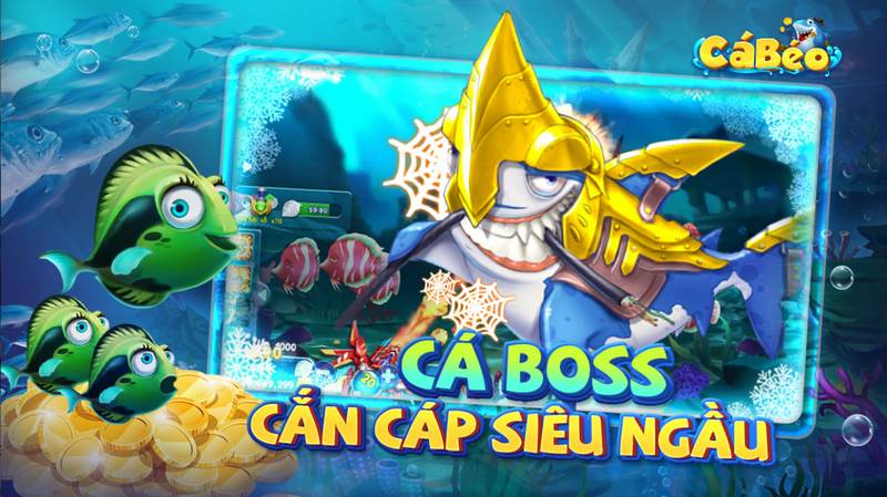 Kinh nghiệm chơi Cá béo hốt trọn giải thưởng