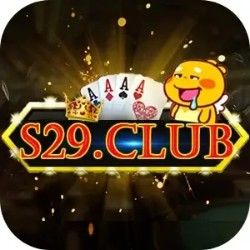 Logo S29